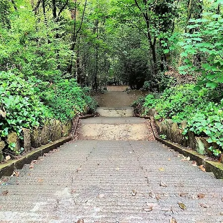 -f10gh- For Relaxed And Cosy Stay, Free Parking, Wifi 公寓 *